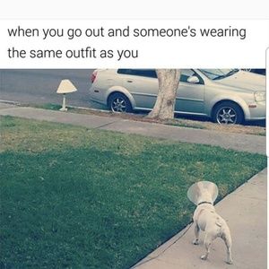 𝕋𝕨𝕚𝕟𝕤 🐶